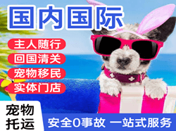 长治王村机场空运国际宠物托运 【国